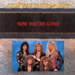 Whitesnake : Now You're Gone